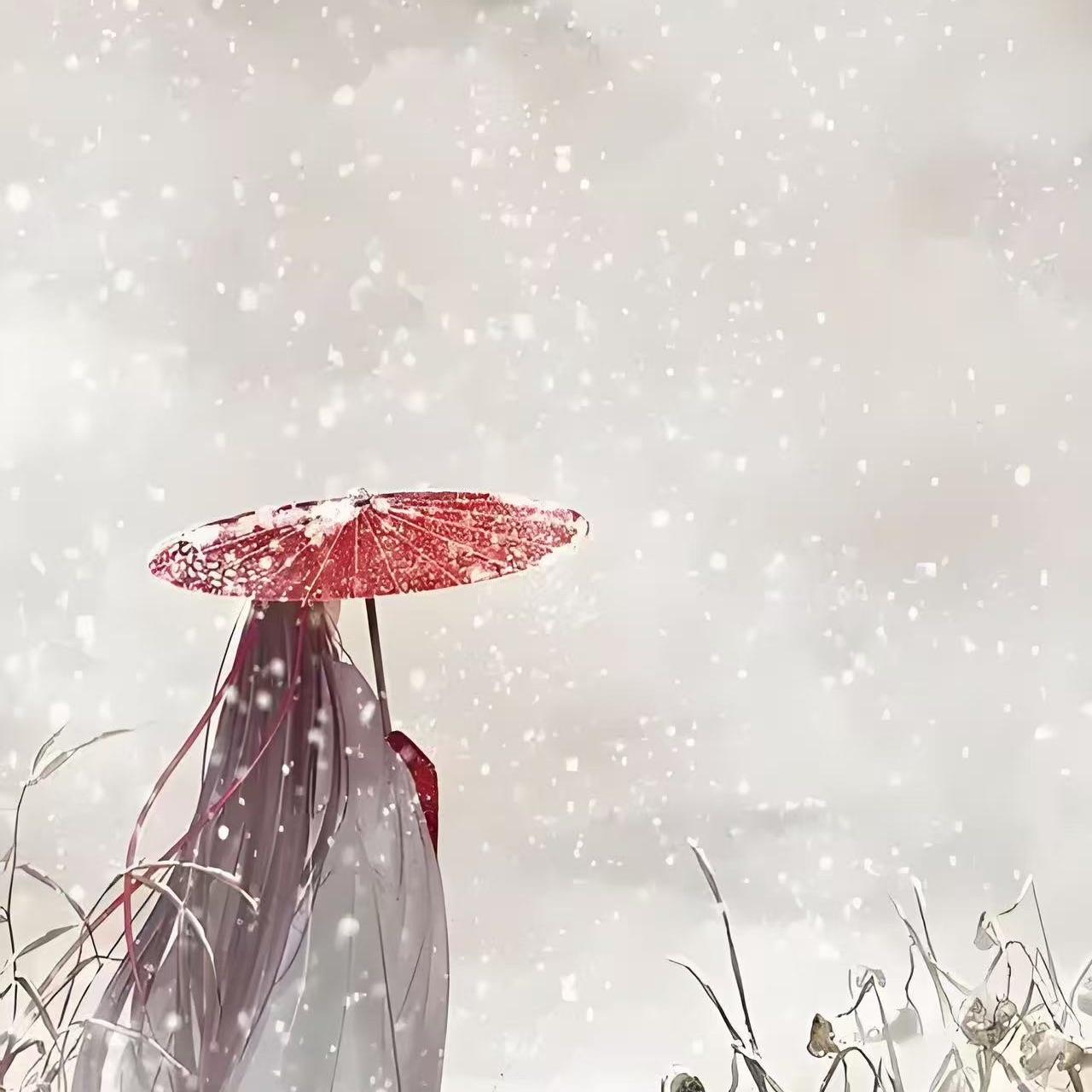 你看风景，我看你封面