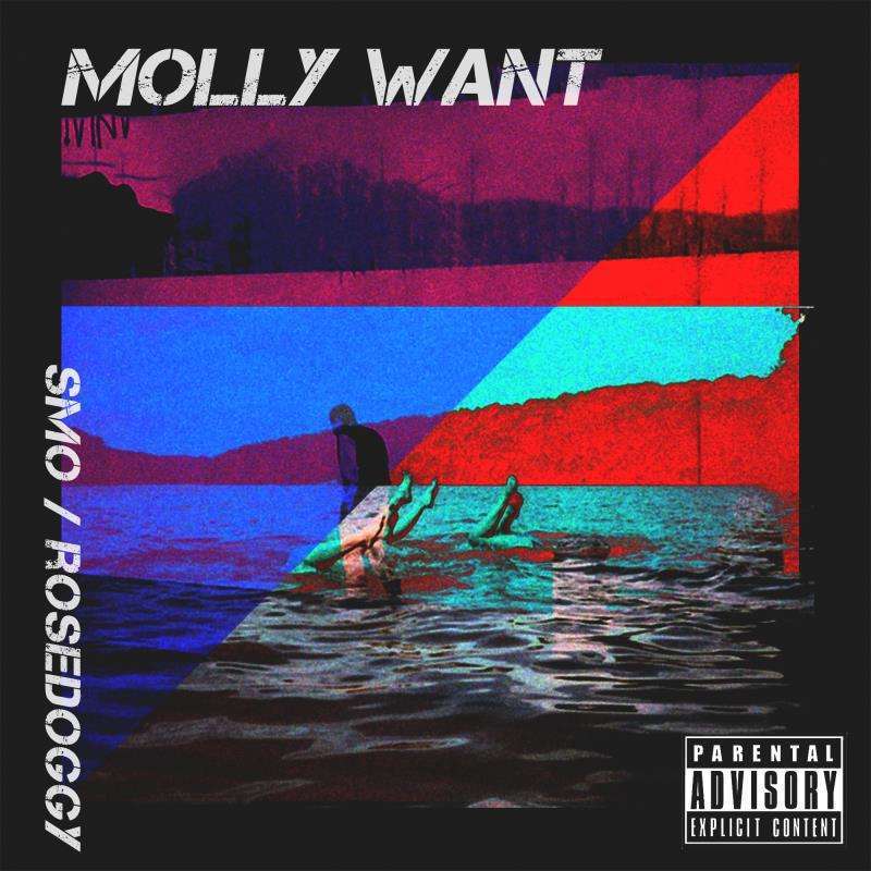 Molly Want_Smo_Molly WANT | 在线播放_Molly Want歌词_Molly Want下载 | 网易云音乐