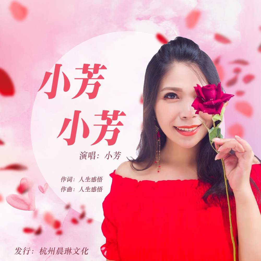 小芳小芳封面