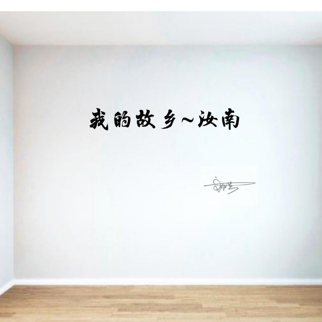 汝南封面