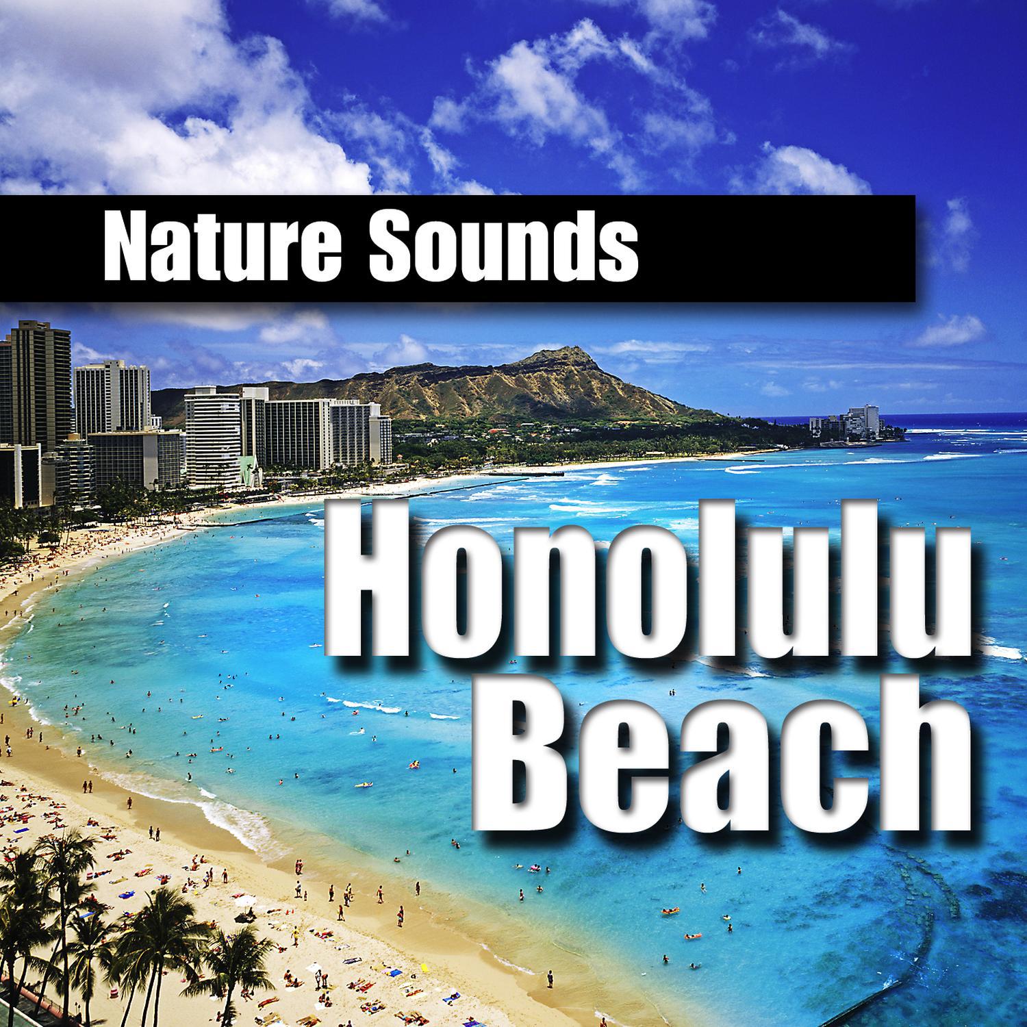  Experience Paradise: Unforgettable Diamond Head Hawaii Vacation Rentals for Your Next Getaway