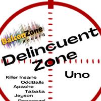 Delincuent Zone