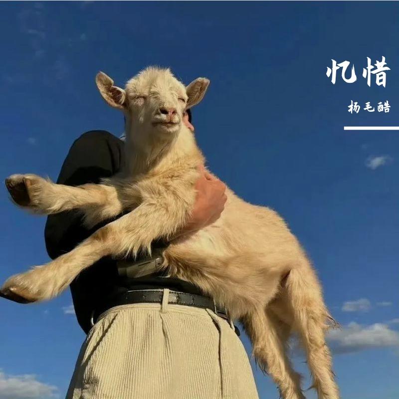 秋殇别恋(马跃展版).wav封面