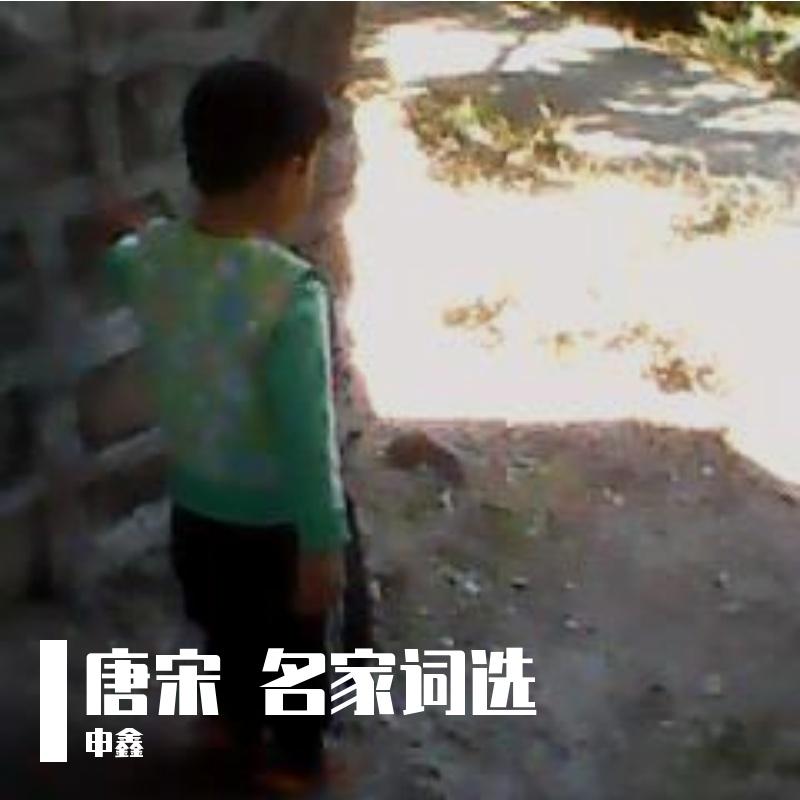ⅩⅨ唐宋 名家词选（壹拾玖）【临江仙】【浪淘沙】【浣溪沙】【苏幕遮】【凤箫吟】【甘草子】【曲玉管】 - 申鑫封面