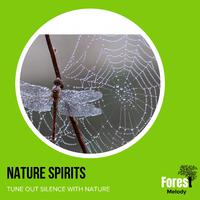 Nature Spirits - Tune Out Silence with Nature