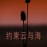 礼云