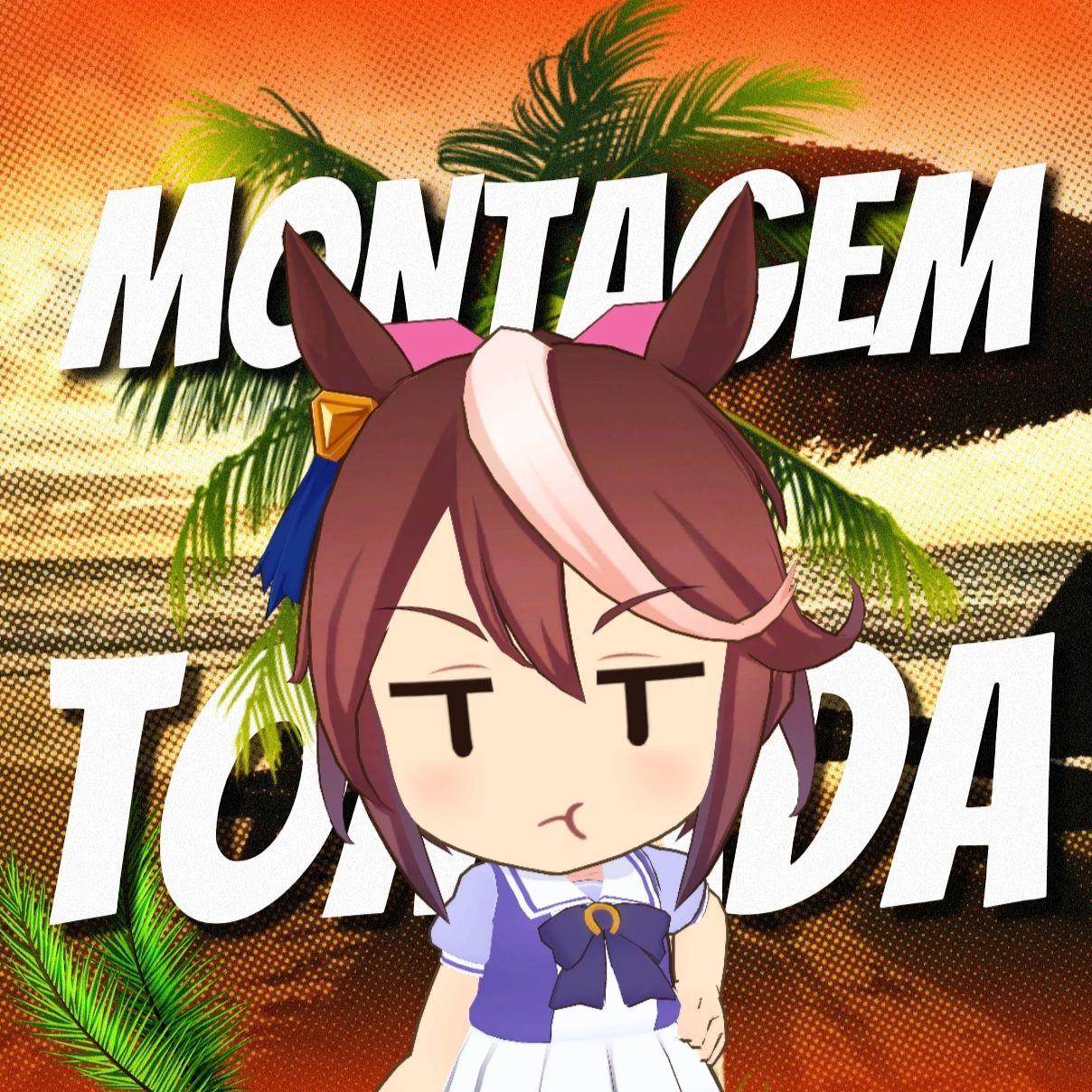 【哈基米funk】MONTAGEM TOMADA
