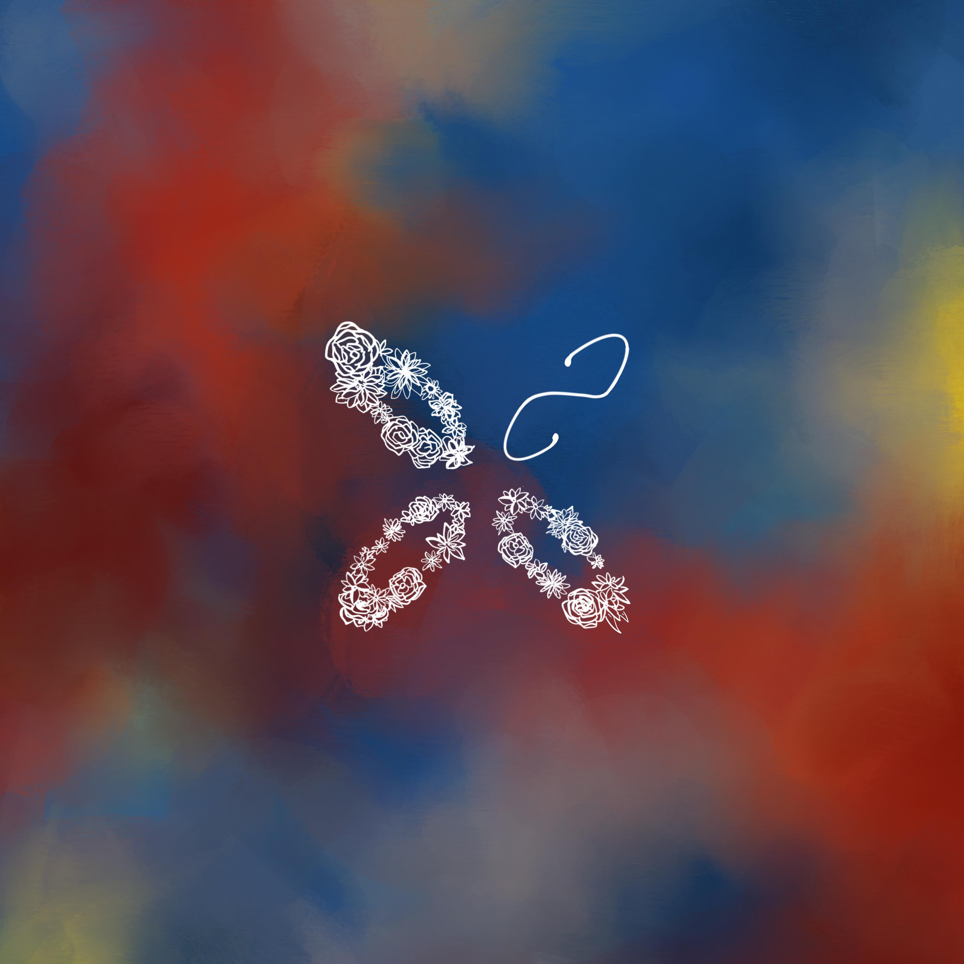 Elapse Acapella（Bonus）