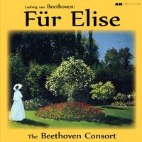 Beethoven: Fur Elise