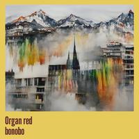 Organ Red Bonobo