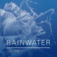 Rainwater, Vol. 3