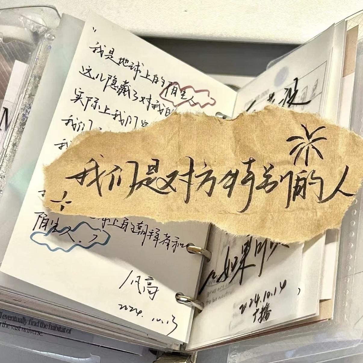 青春考卷上未完成的告白封面