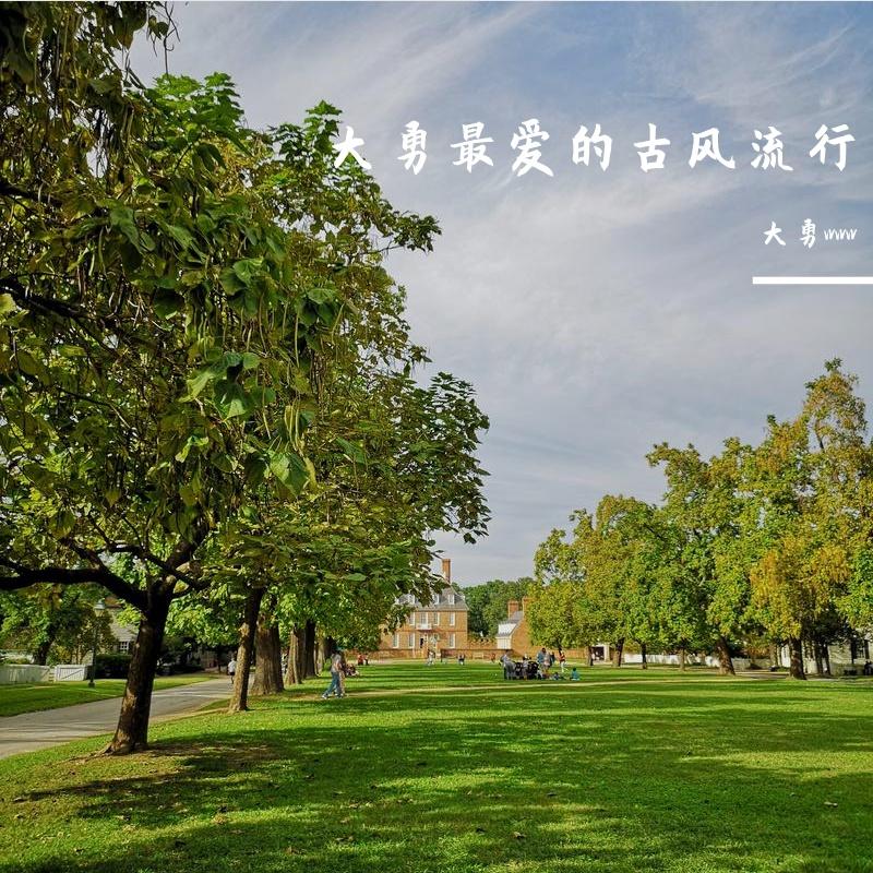等风与你封面