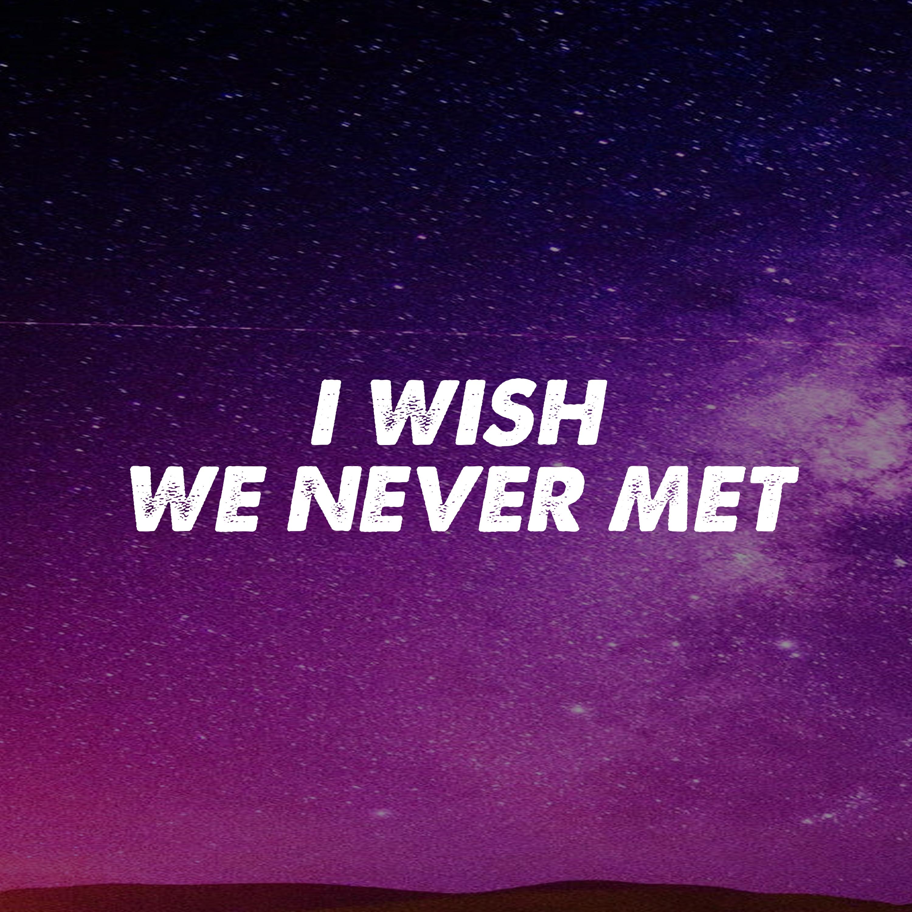 I Wish We Never Met