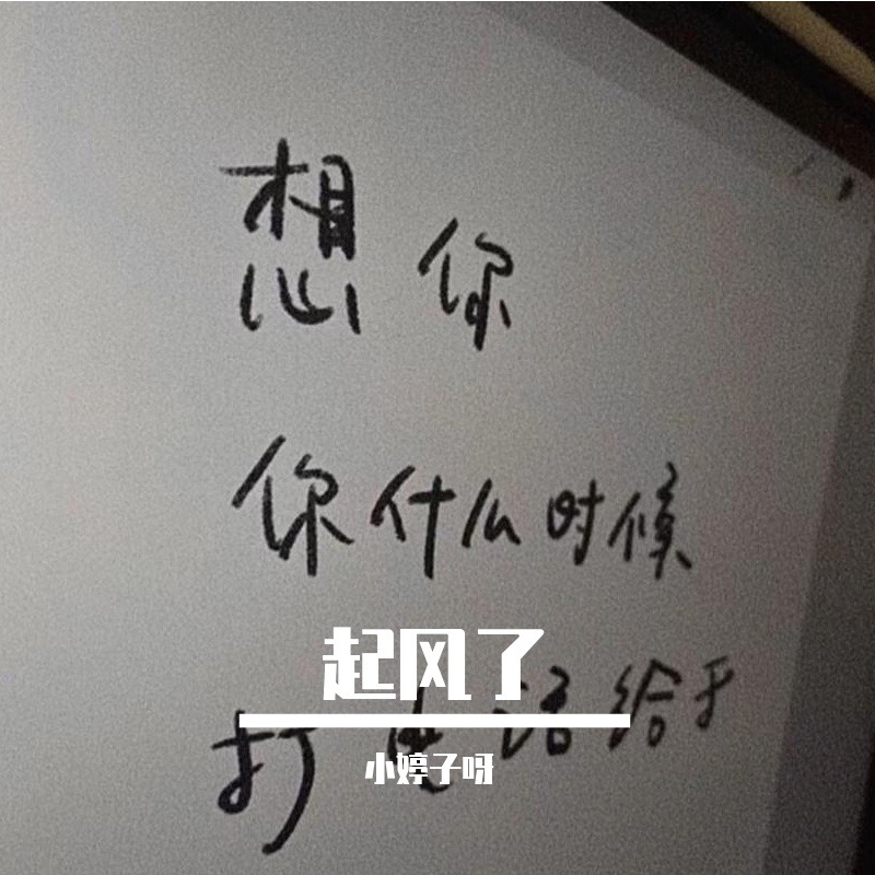 起风了（伴奏）封面