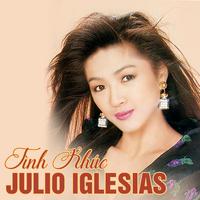 Tình Khúc Julio Iglesias (Hạ Hồng 004)