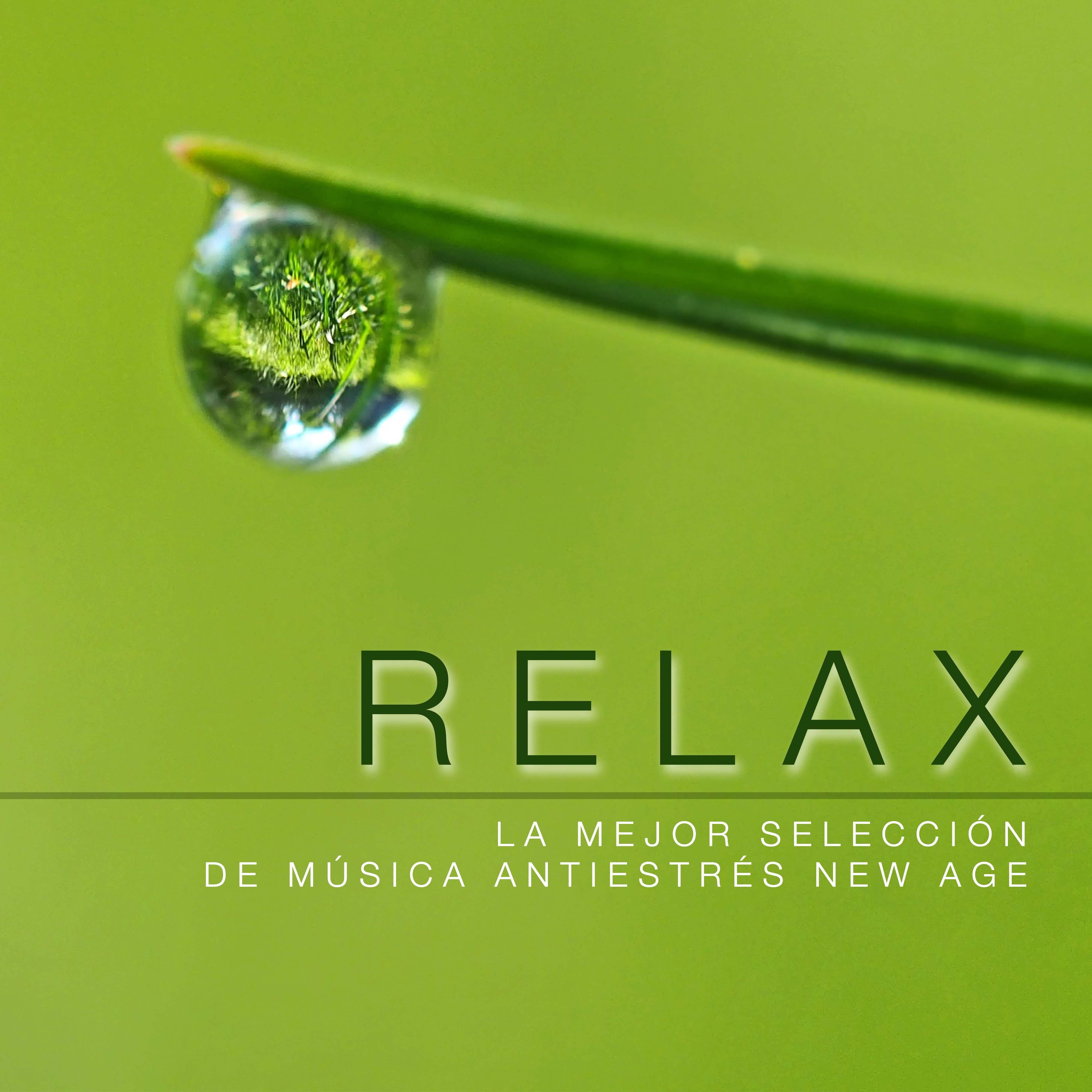 Musica de Relajación Academy