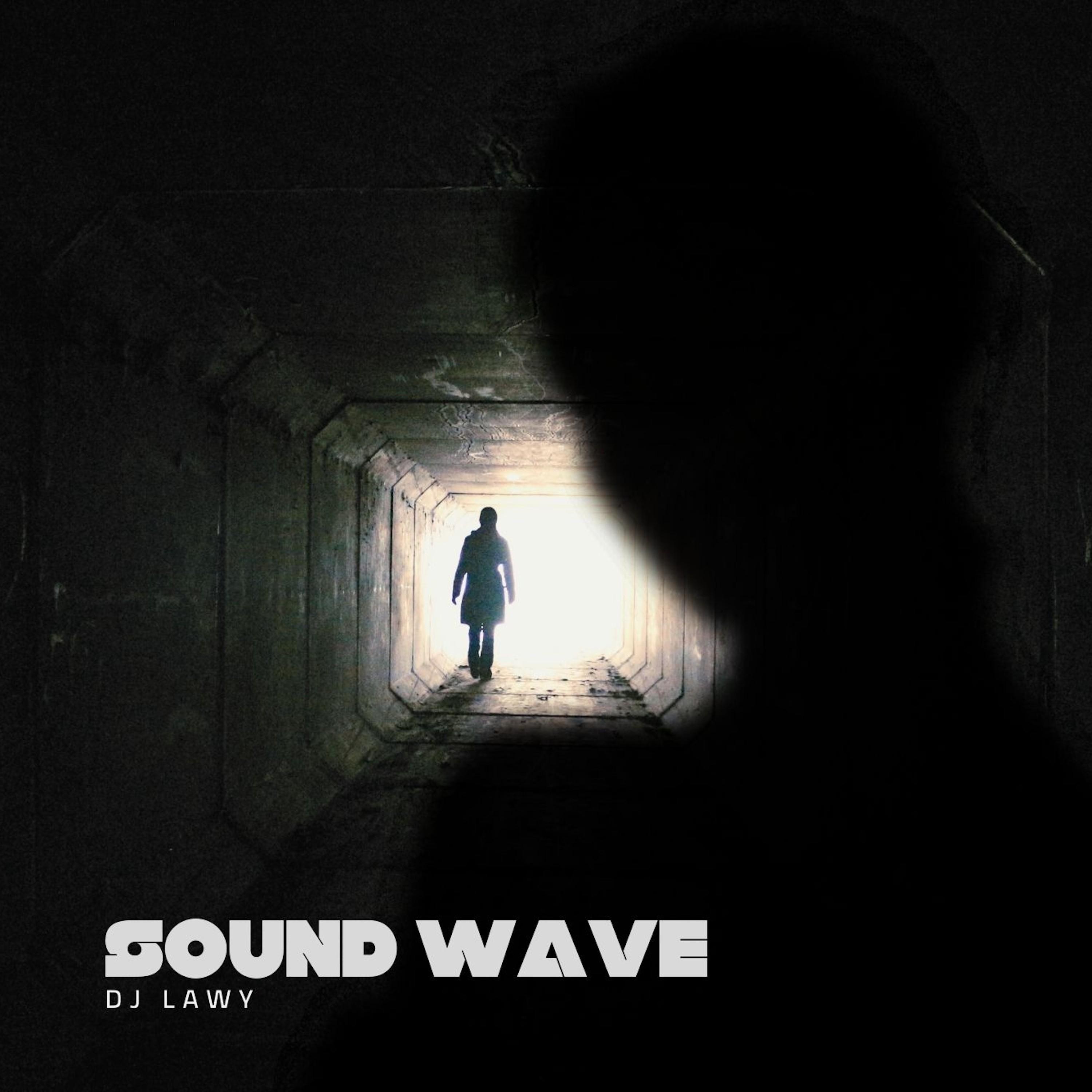 PARTY HARD (VIBE) DJ LAWY 单曲 网易云音乐