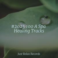 #2025 100 A Spa Healing Tracks