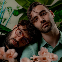 slenderbodies