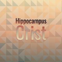 Hippocampus Crist