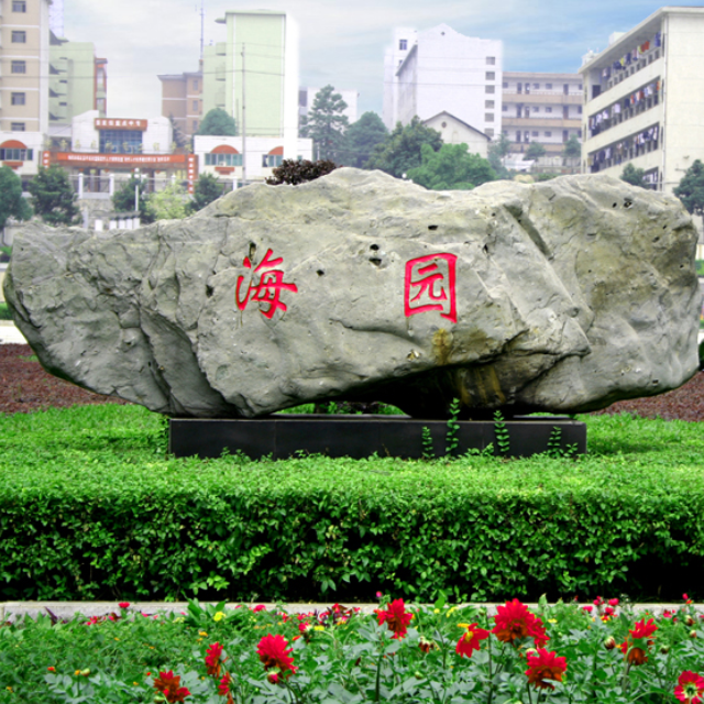 无可救药爱上你封面