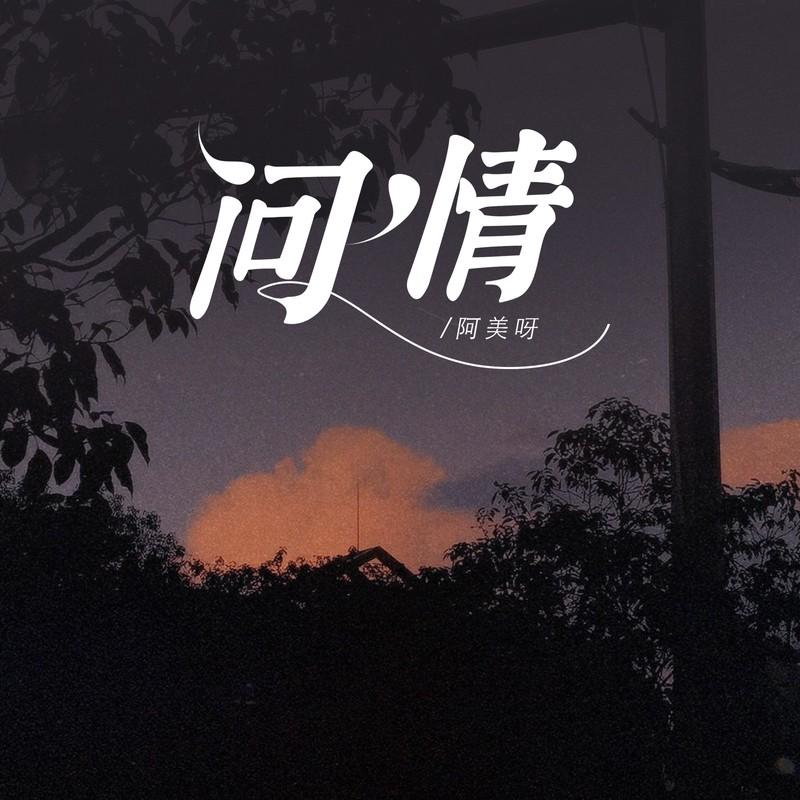 问情(山川载不动太多悲哀)封面