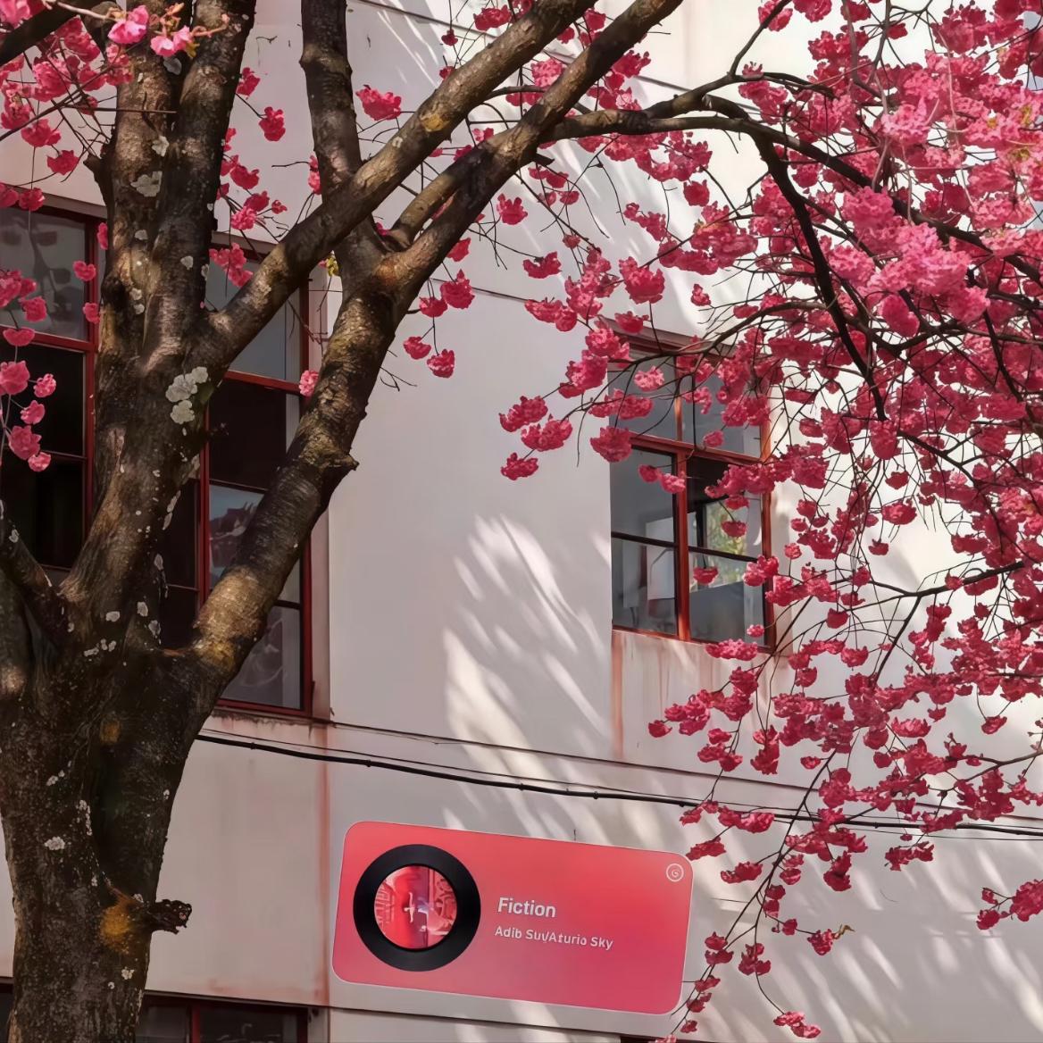 一路生花(最火柔情女声版)封面