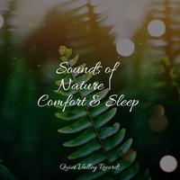 Sounds of Nature | Comfort & Sleep