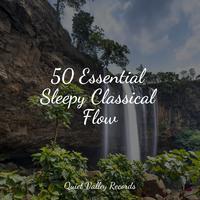 50 Essential Sleepy Classical Flow