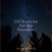 100 Tracks for Zen Spa Relaxation