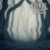 Baikal - Huojuvat kunnaat