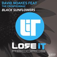 Black Sunflowers