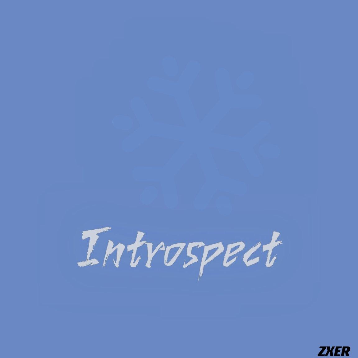 Introspect（Prod.XVIBE）封面