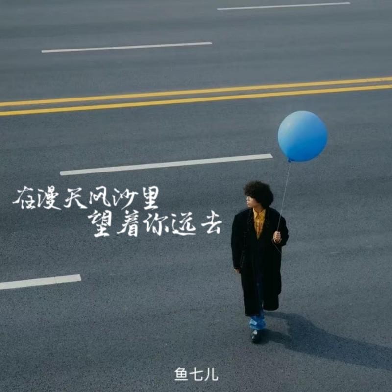在漫天风沙里望着你远去封面
