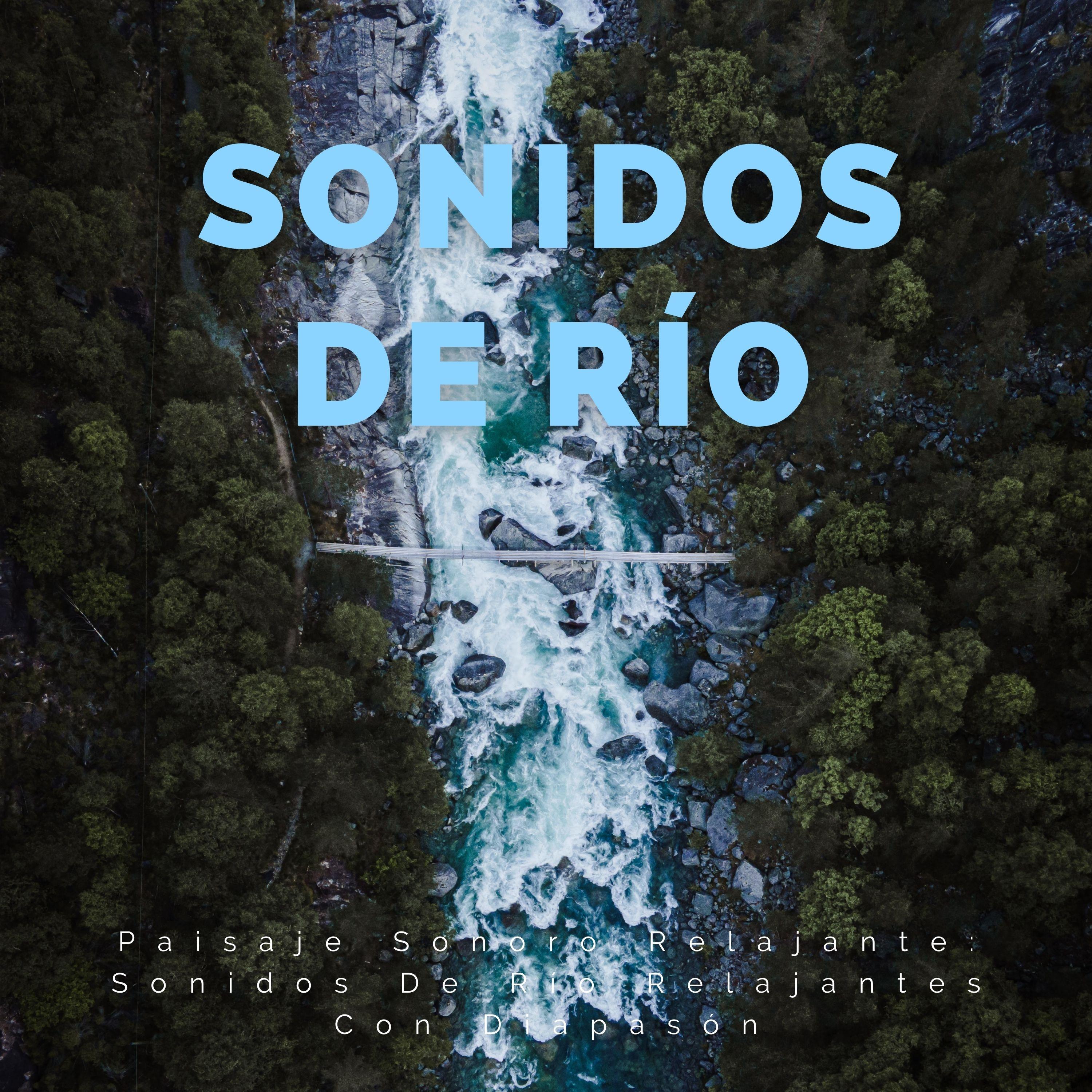 Vibraciones De Curación Del Río_Sonidos de agua y río_Paisaje Sonoro Relajante: Sonidos De Río Relajantes Con Diapasón | 在线播放_Vibraciones De Curación Del Río歌词_Vibraciones De Curación Del Río下载 | 网易云音乐