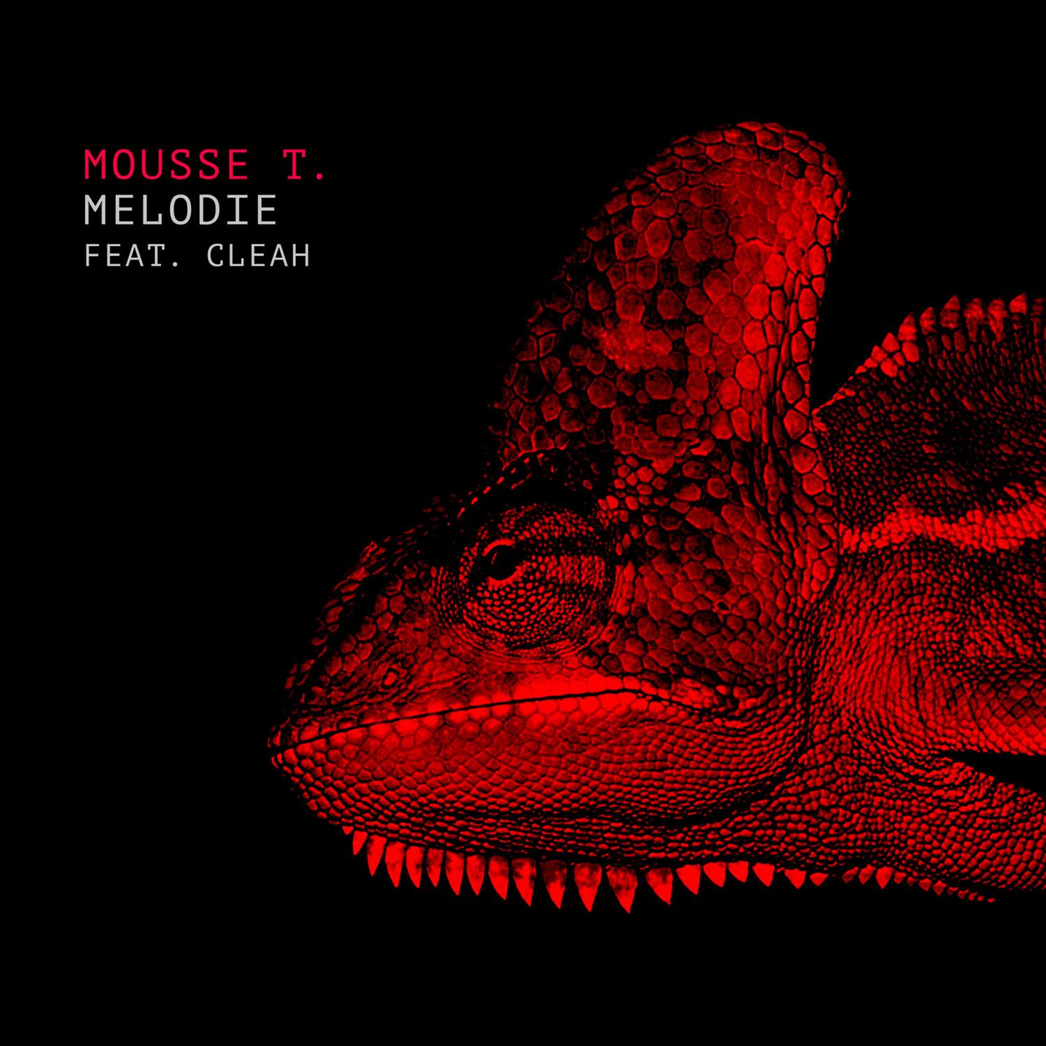 Melodie (Mousse T's Extended Disco Shizzle Remix)
