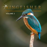 Kingfisher, Vol. 3