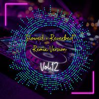 Slowed + Reverbed Remix Version, Vol. 12
