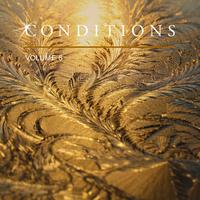 Conditions, Vol. 6