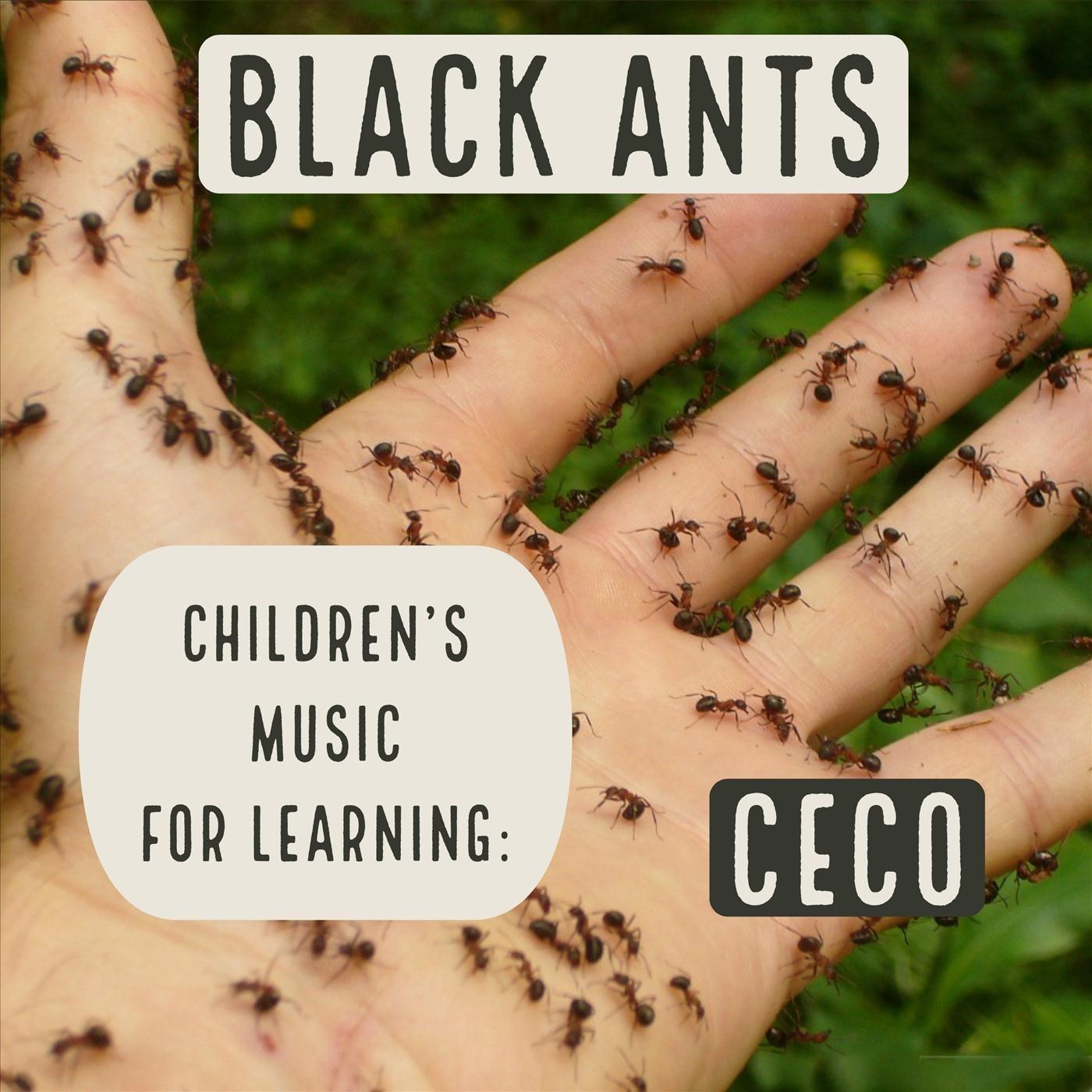 Children's Music for Learning: Black Ants
