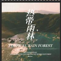 热带雨林