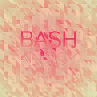 Bash Knock