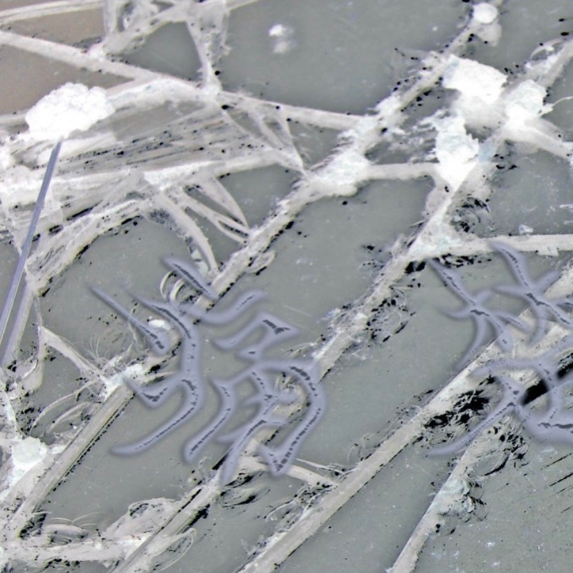 真的很對不起,但我沒有辦法