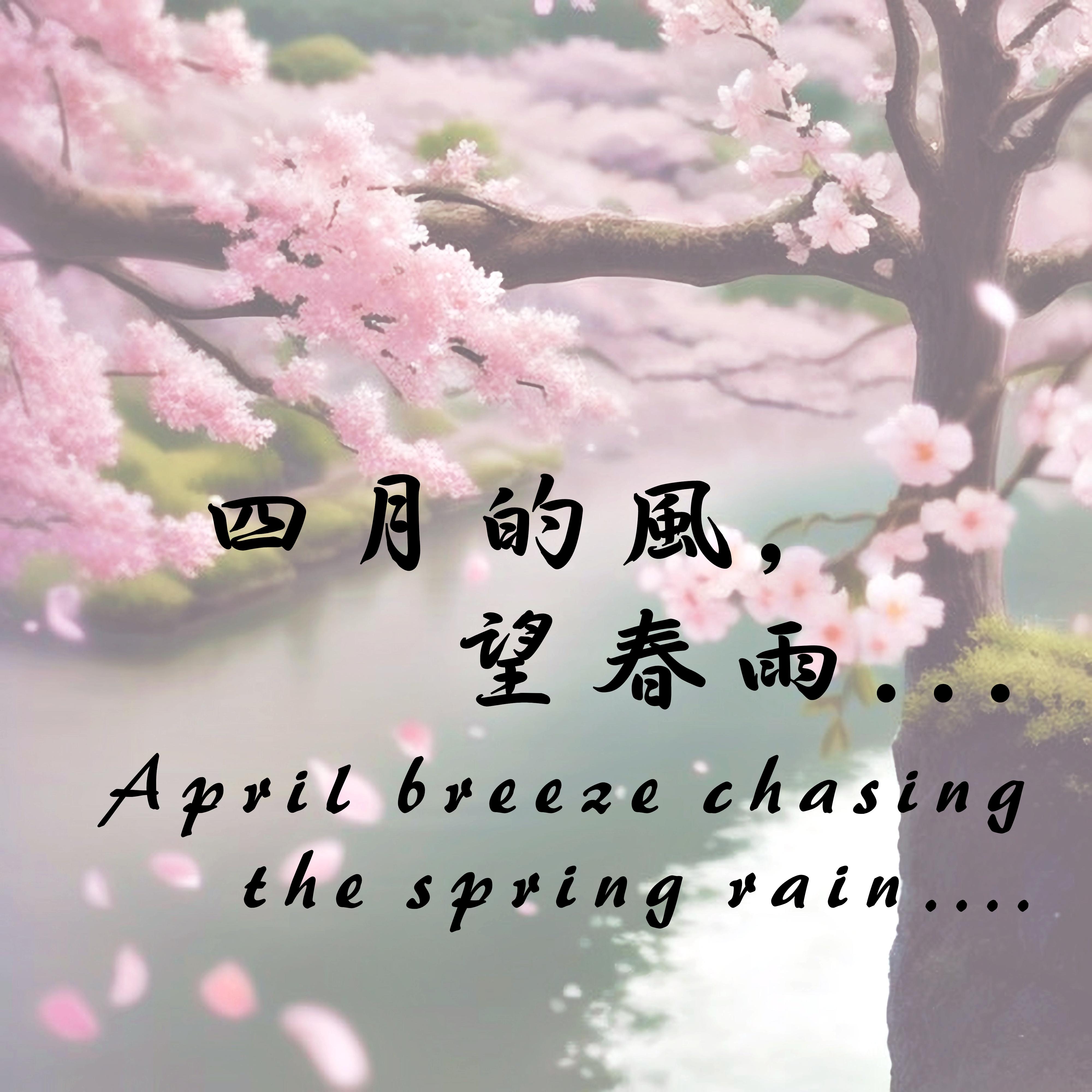 雨夜花 (作曲家亲自演奏首演版本)封面
