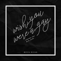 Wish You Were Gay