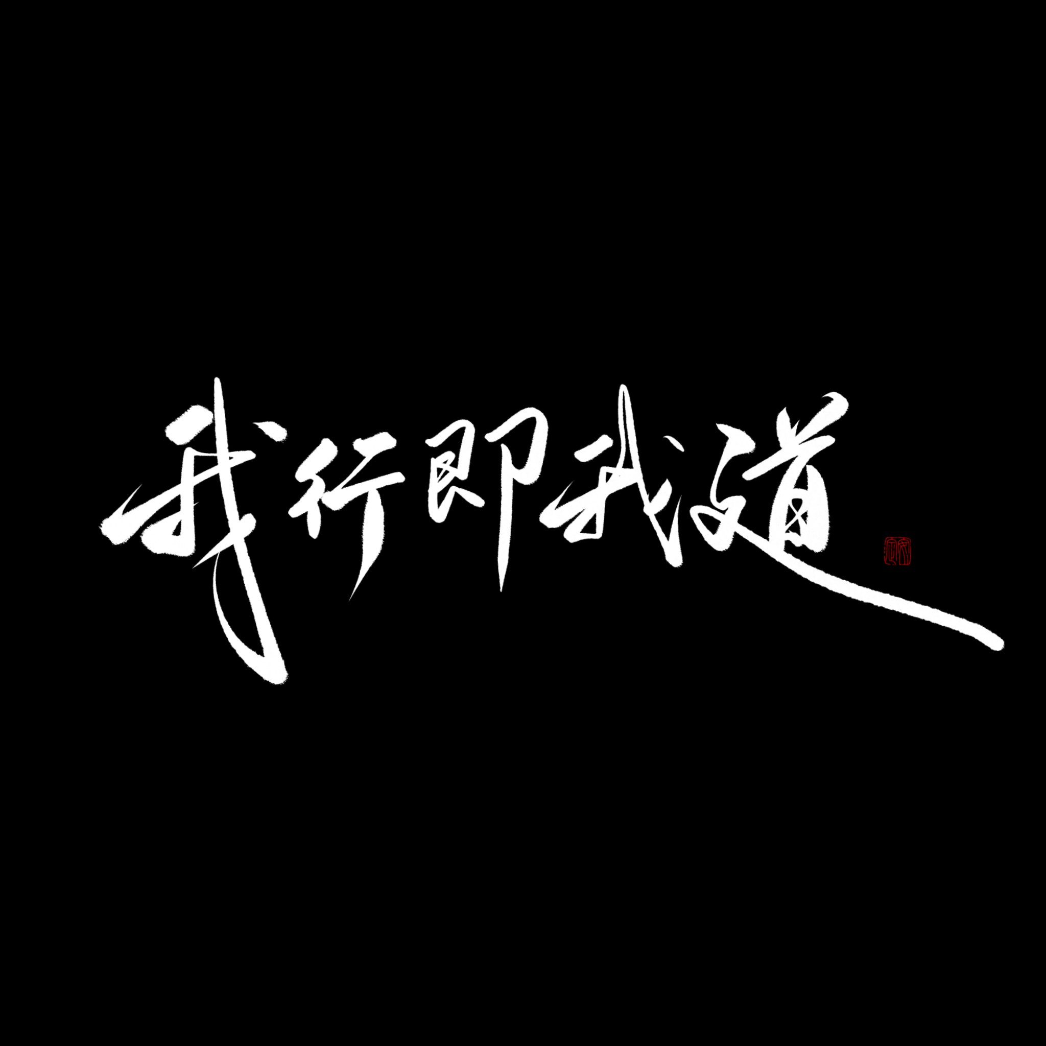 我行即我道封面