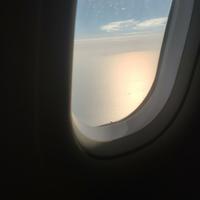 何柏玮