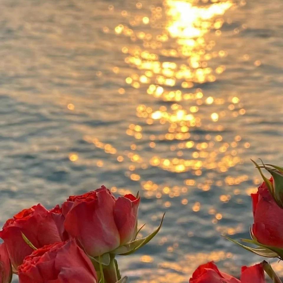 浴火成诗（Cover：迪丽热巴/毛不易）封面