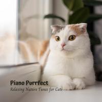 Piano Purrfect: Relaxing Nature Tunes for Cats